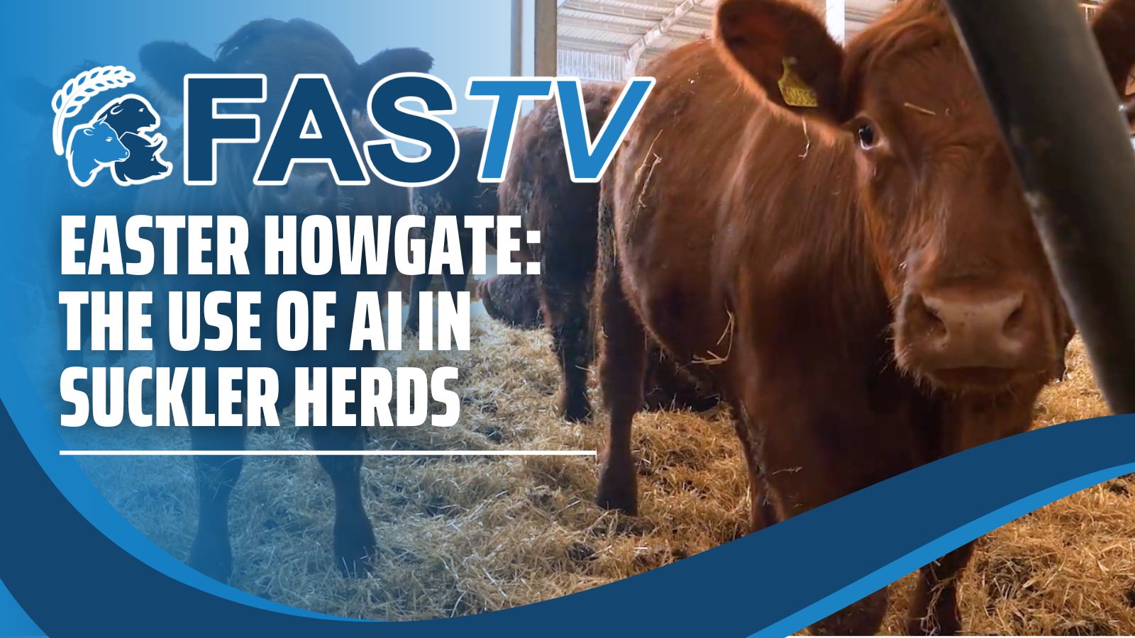 Easter Howgate