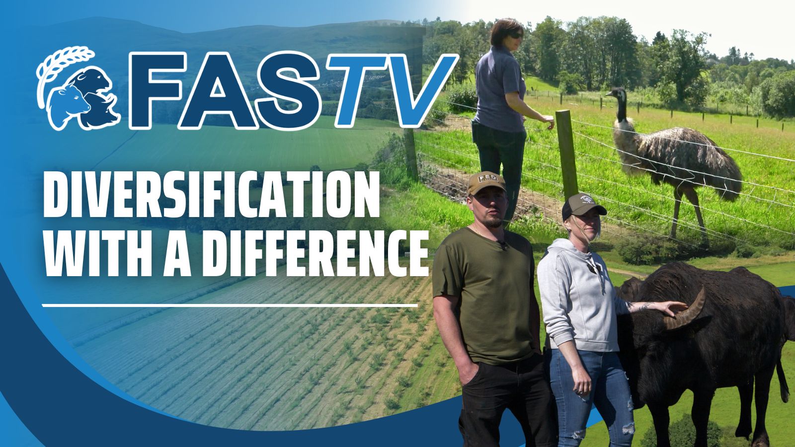 Diversification with a Difference