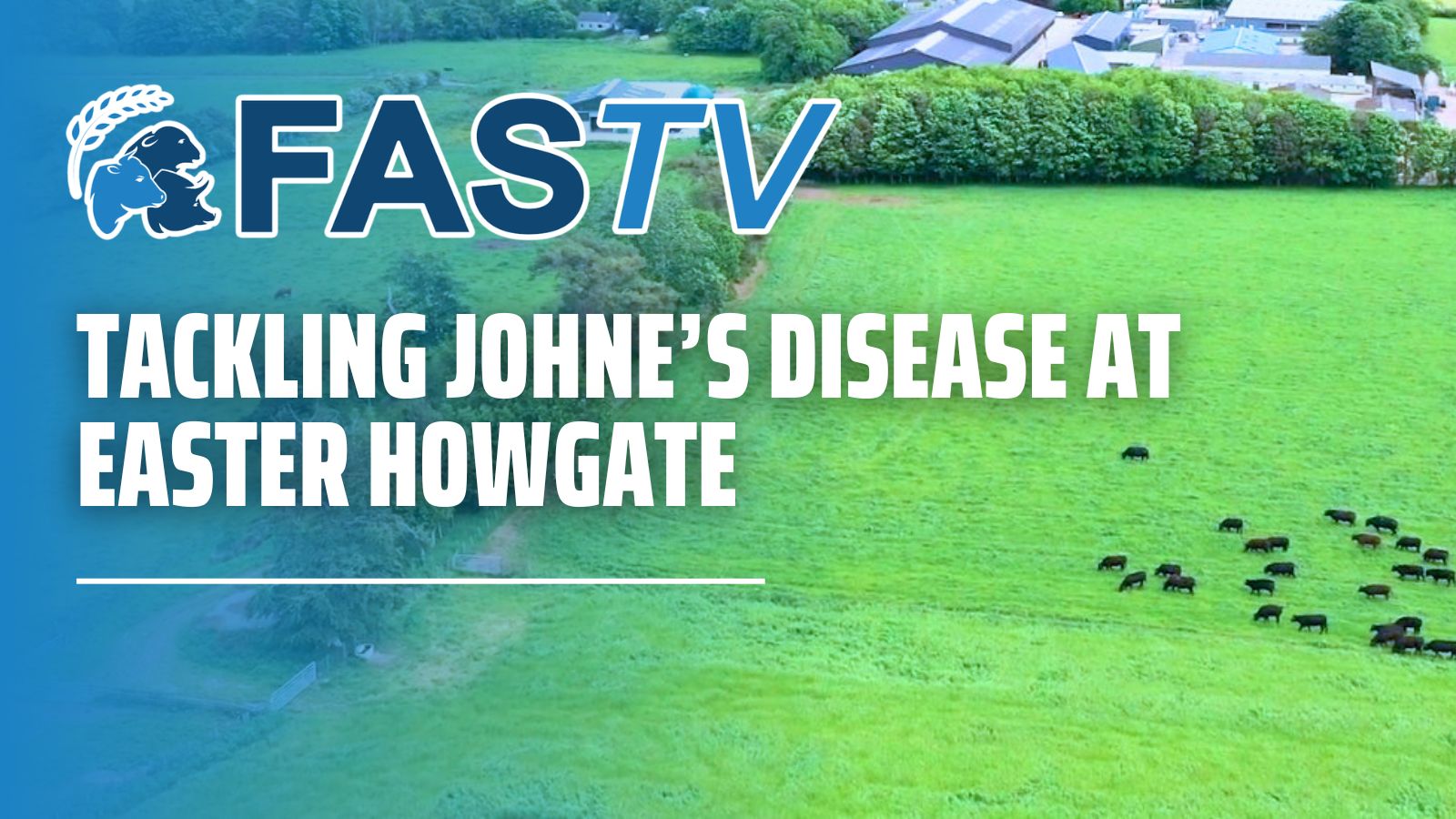 Johne's Disease