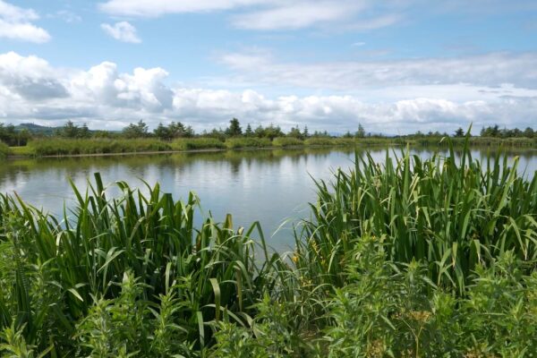 Lagoons Video_2