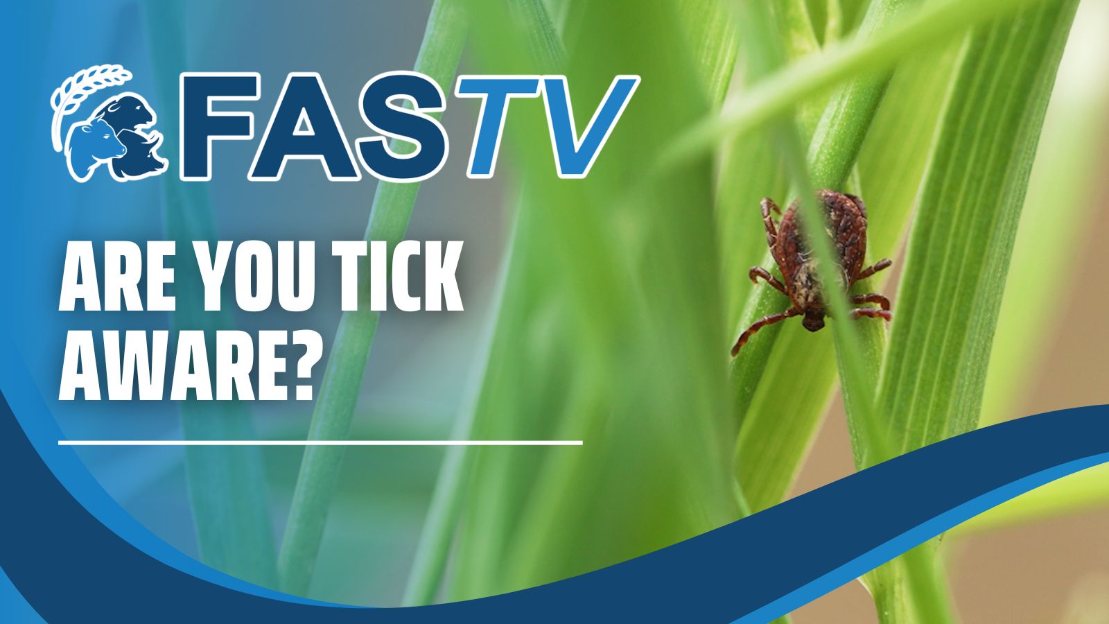 FAS TV Ticks