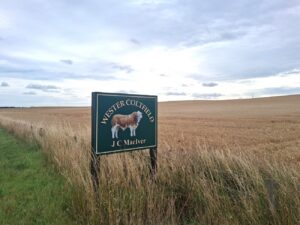 Wester Coltfield Case Study Farm Sign