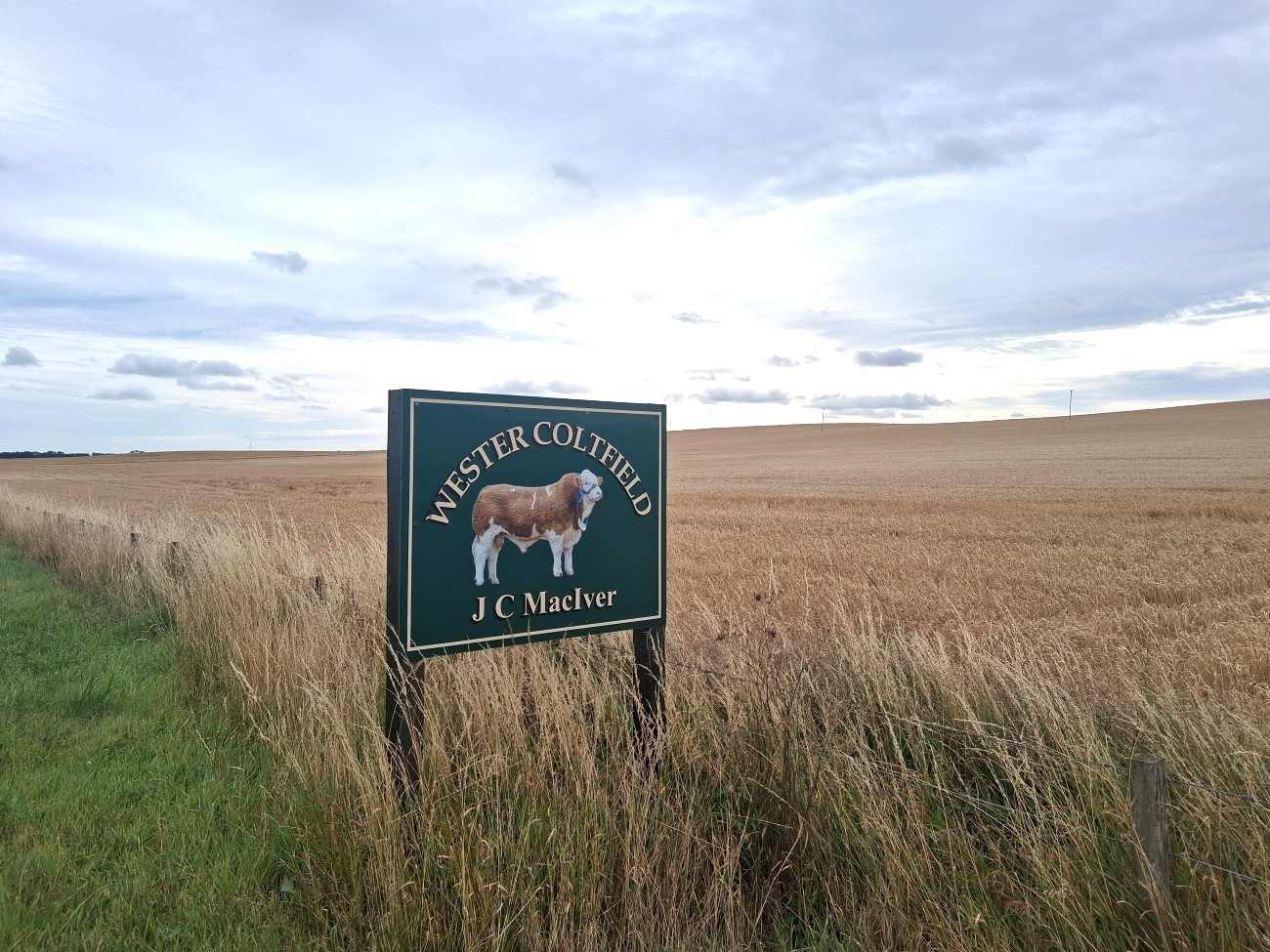 Wester Coltfield Case Study Farm Sign