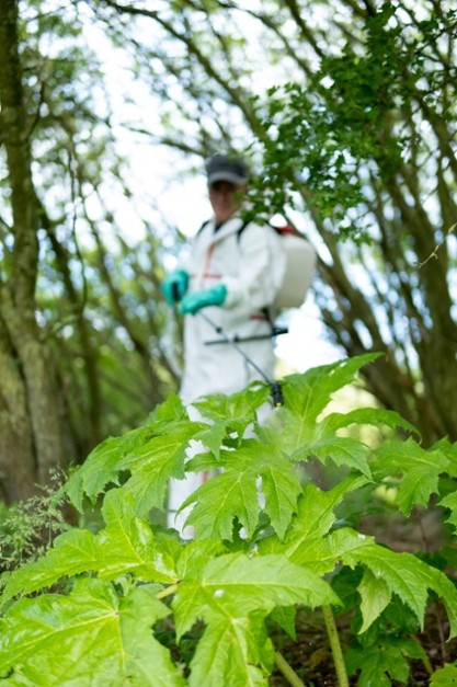 Image from Ayrshire Rivers Trust