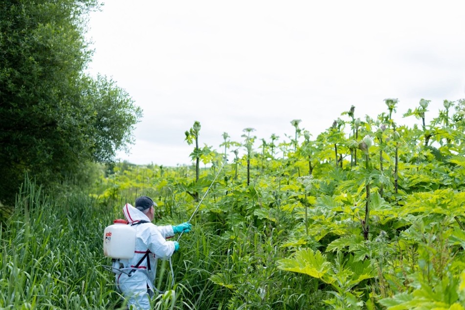 Image from Ayrshire Rivers Trust