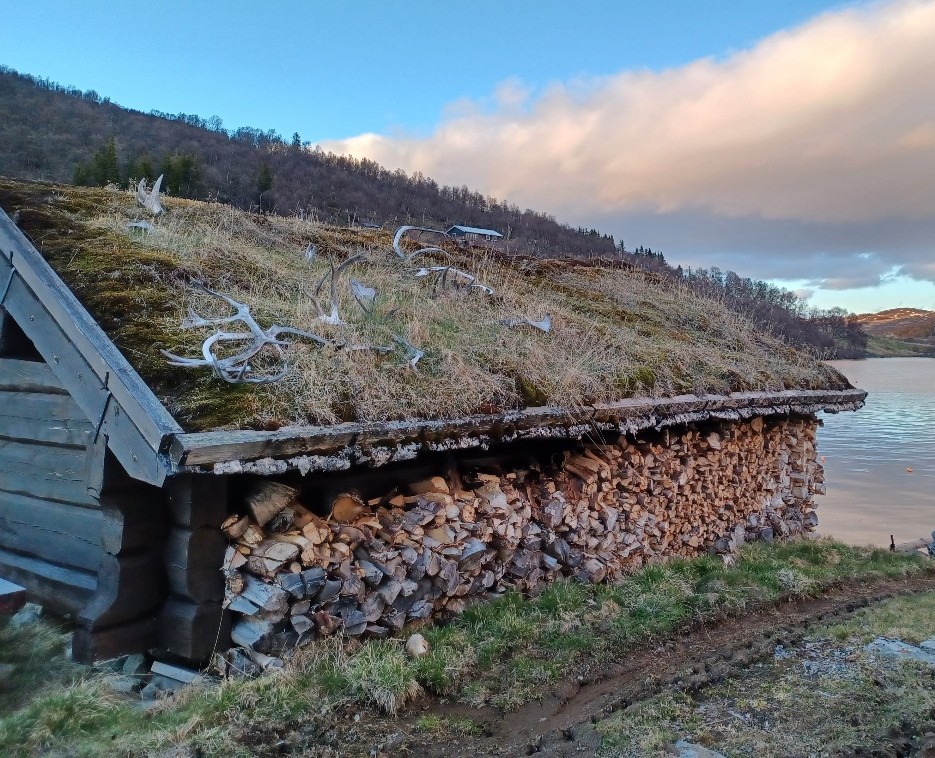 Birch firewood stockpile Norway