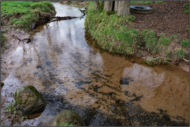 Image from Ayrshire Rivers Trust