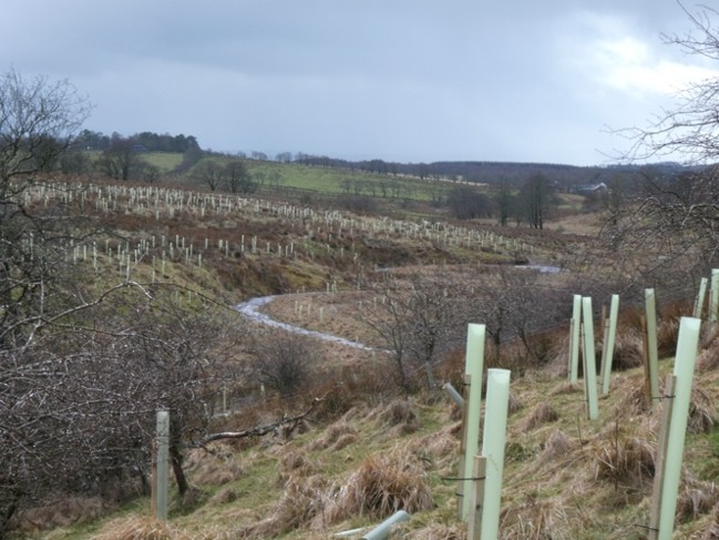 Image from Ayrshire Rivers Trust