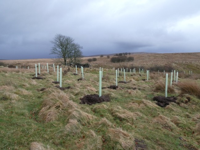 Image from Ayrshire Rivers Trust