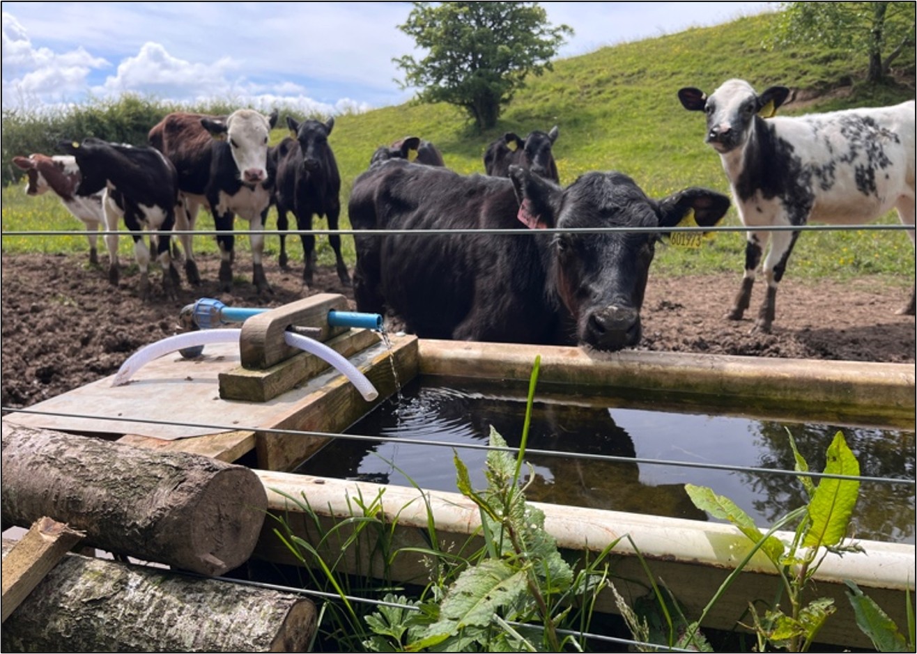Image from Ayrshire Rivers Trust