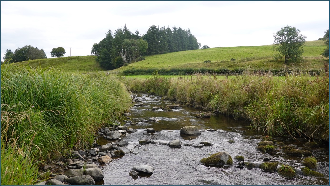 Image from Ayrshire Rivers Trust