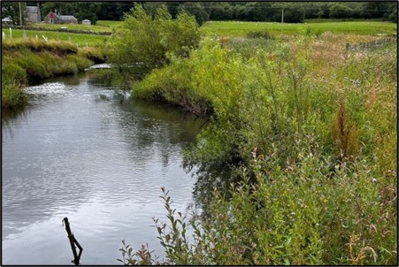 Image from Ayrshire Rivers Trust