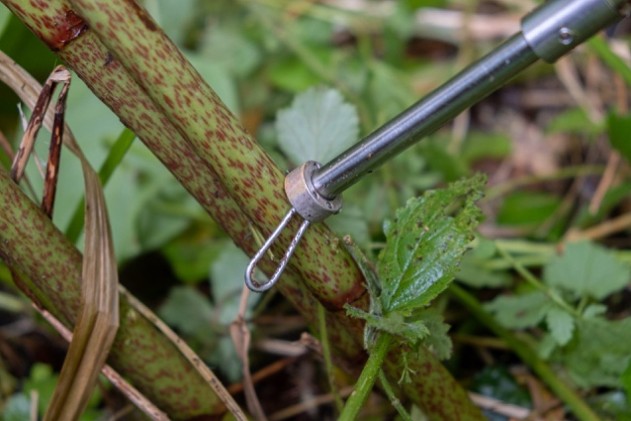 Image from Ayrshire Rivers Trust