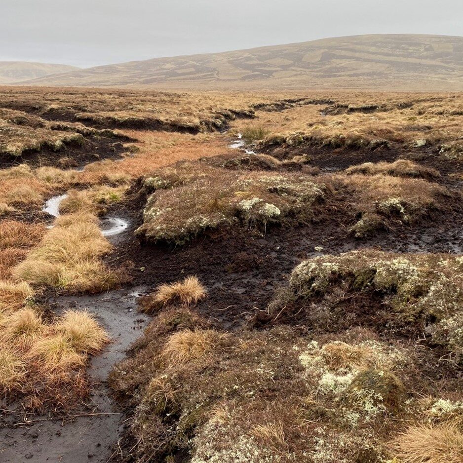 An example of peatland erosion where restoration intervention would stop the peat loss and increase ground stabilisation